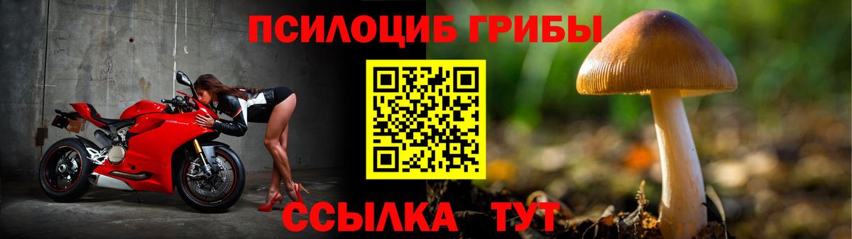 купить наркотик  Вход с VPN  Волгодонск  Галлюциногенные грибы мухоморы 